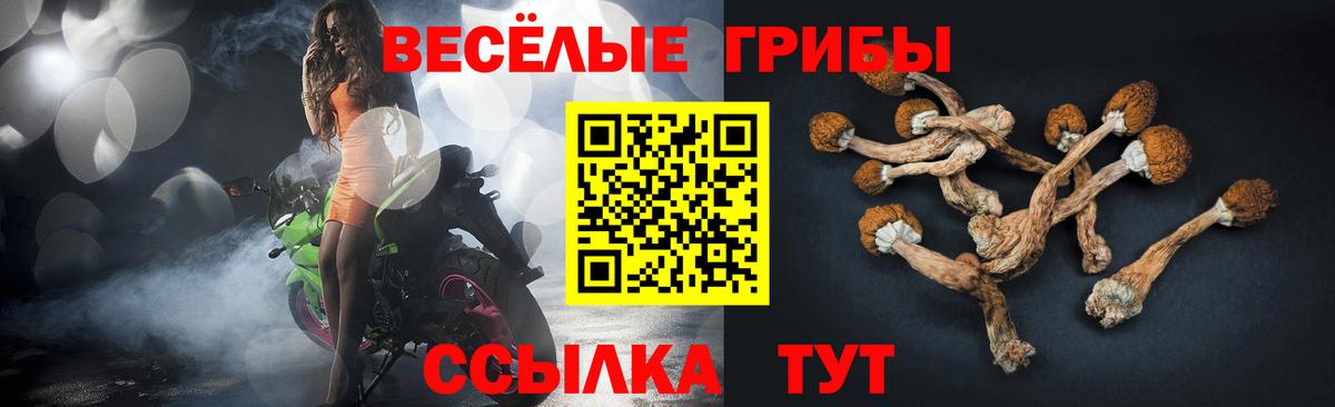 Курск  Псилоцибиновые грибы мицелий  Вход с VPN 